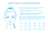 Cambridge Mask Co PRO N99 Reusable Masks